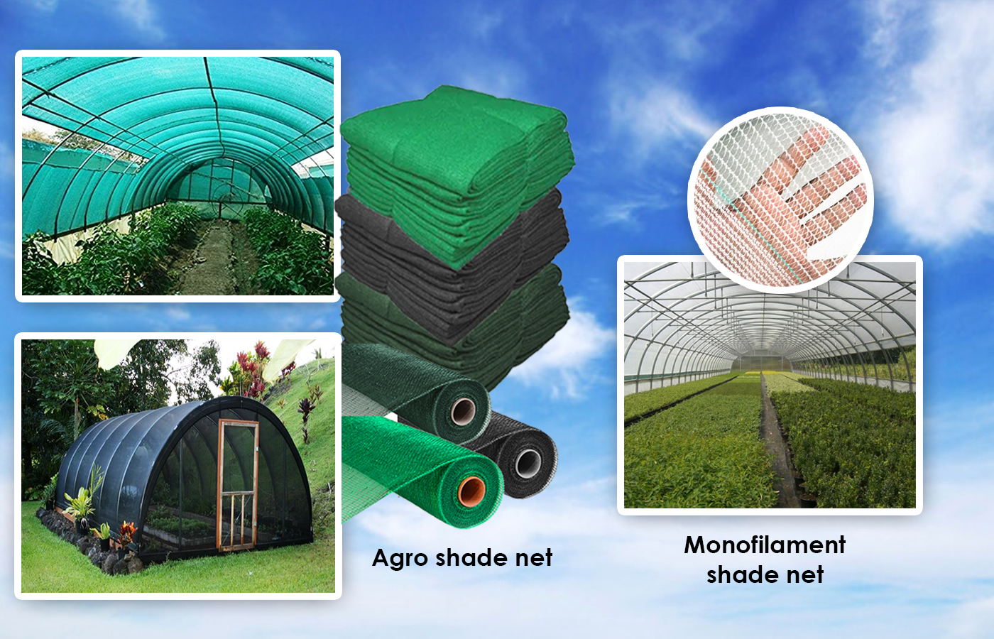 Aginex Buy Agro Shades Nets Online